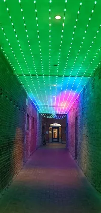 Enjoy a mesmerizing visual experience with this stunning phone live wallpaper! Featuring a tunnel filled with gorgeous green and purple lights, surrounded by lush greenery and a beautiful courtyard walkway