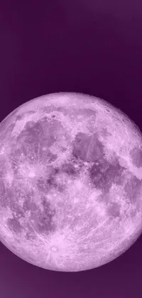 Purple Violet Moon Live Wallpaper