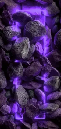 Purple Violet Petal Live Wallpaper