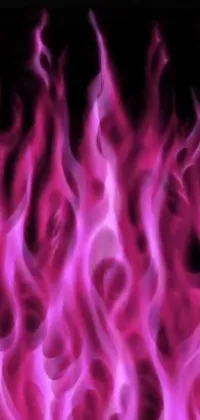 This phone live wallpaper features a stunning image of close up pink flames on black background