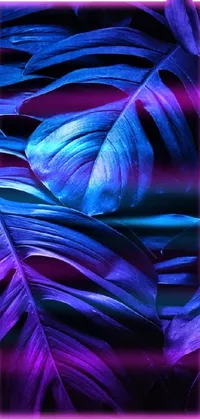 Purple Water Organism Live Wallpaper