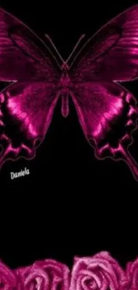Get mesmerized by this stunning phone live wallpaper featuring a beautiful purple butterfly perched atop a delicate pink rose