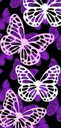 This phone live wallpaper features beautiful purple butterflies on a black background