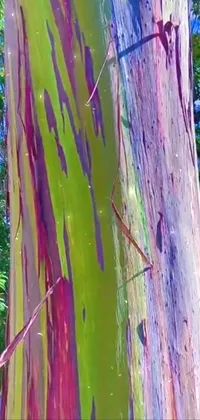 Purple Wood Tree Live Wallpaper