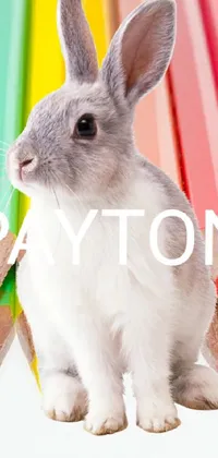 This phone live wallpaper features a charming rabbit sitting amidst pastel-colored pencils in a whimsical, crayon art-inspired design