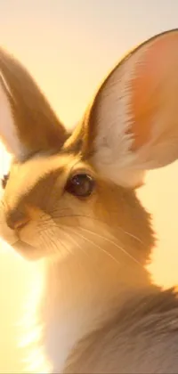 This adorable phone live wallpaper features a photorealistic image of a rabbit up close near a car