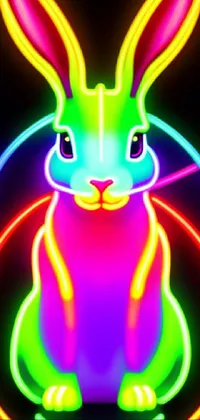 Rabbit Green Light Live Wallpaper