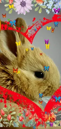 Rabbit Organism Mammal Live Wallpaper