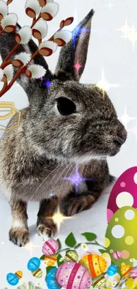 Rabbit Rabbits And Hares Tableware Live Wallpaper