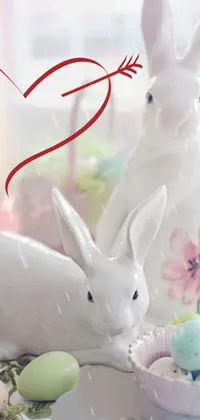 Rabbit Vertebrate Ear Live Wallpaper