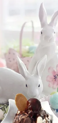 Rabbit Vertebrate White Live Wallpaper
