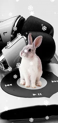 Rabbit White Ear Live Wallpaper