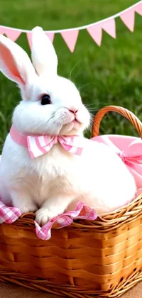 Rabbit White Picnic Basket Live Wallpaper