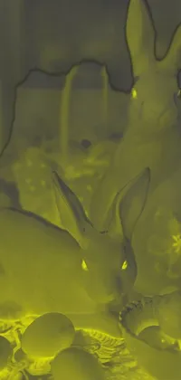 Rabbits And Hares Gesture Yellow Live Wallpaper