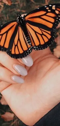 This live wallpaper features a stunning photorealistic painting depicting a delicate butterfly resting on a hand with long nails