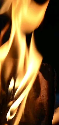 This phone live wallpaper features a high definition close-up view of bright orange and yellow flames against a wooden backdrop