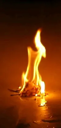 Racy Fire Flame Live Wallpaper