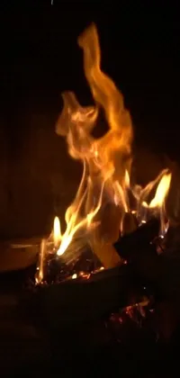 Racy Fire Flame Live Wallpaper