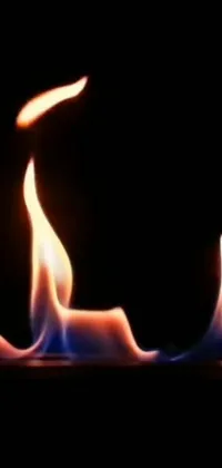 Spice up your phone's look with this sizzling live wallpaper featuring a stunning fire close-up