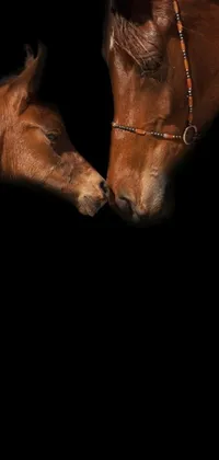 This live wallpaper features a stunning 4K image of two horses