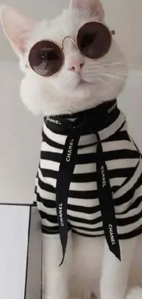 This charming phone live wallpaper features a white cat donning sunglasses and a fisher coat
