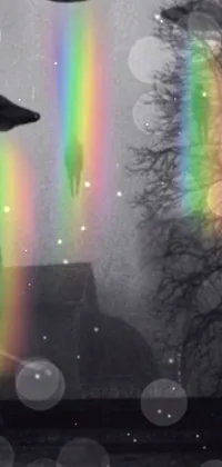 Rainbow Atmosphere Light Live Wallpaper