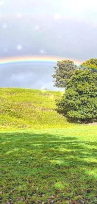 This live wallpaper features a serene green field with a rainbow spanning across the sky and a mesmerizing view of Kew Gardens in the background