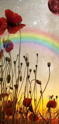 Rainbow Flower Plant Live Wallpaper
