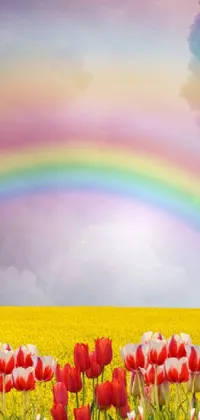 Rainbow Flower Sky Live Wallpaper
