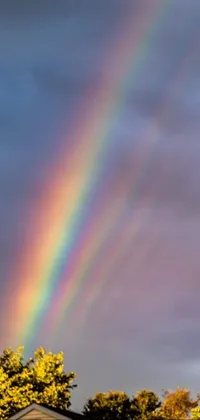 Rainbow Sky Ecoregion Live Wallpaper