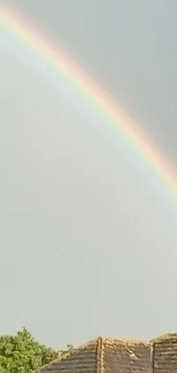Rainbow Sky Light Live Wallpaper