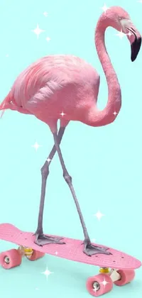 Red Bird Pink Live Wallpaper