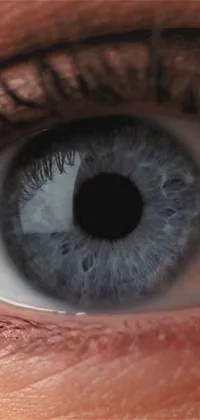 This phone live wallpaper showcases a hyperrealistic blue eye with grey contacts that adds depth and dimension to the iris