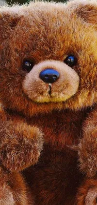 This adorable phone live wallpaper features a brown teddy bear nestled in the grass