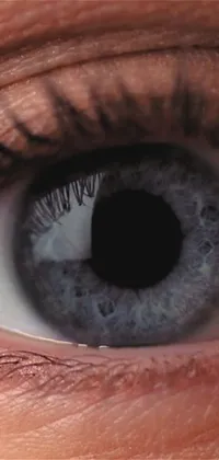 This hyperrealistic live phone wallpaper features a close-up of a striking blue eye