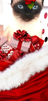 This phone live wallpaper features a stunning Siamese cat sitting inside a red Christmas stocking