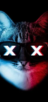 This live wallpaper for phone showcases a feline wearing glasses with a poster in the back featuring vibrant red and blue lighting