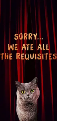 Red Cat Text Live Wallpaper
