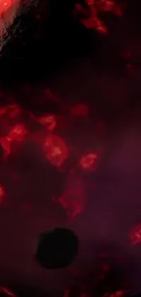 This phone live wallpaper features an abstract, eerie scene that combines dark red bloody fog with a close-up of food in a bowl on a table, and a woman made of black flames
