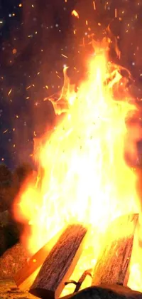 This live wallpaper depicts a digital rendering of a bonfire at the center of a grassy field