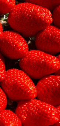 Red Food Berry Live Wallpaper