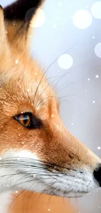 Sleeping Fox in Snow: Serene Live Wallpaper - free download