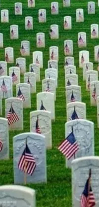 This live wallpaper depicts a solemn field of American flags adorning graves, serving as a tribute and reminder of the sacrifices made by countless brave soldiers
