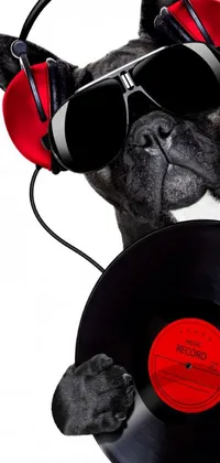 Looking for a fun and funky live wallpaper for your phone? Check out this adorable image of a French Bulldog wearing bright red headphones and holding a vinyl record! The colorful and bold artwork has a playful vibe, featuring brushstrokes and pops of vibrant hues that create a funky, trendy look