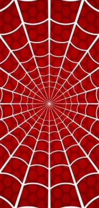 This phone live wallpaper features a highly detailed spider web design on a red background, rendered in vector art for a modern, crisp look