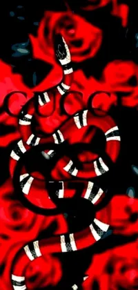 This phone wallpaper showcases a striking black and white snake entwined in elegant red roses