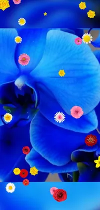 This live wallpaper features a mesmerizing close-up image of a unique flower against a blue backdrop