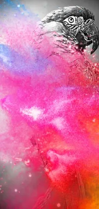 Red Painting Pink Live Wallpaper