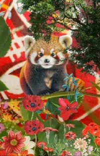 Red Panda Flower Plant Live Wallpaper