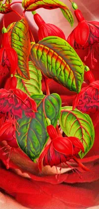 Red Petal Art Live Wallpaper